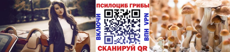 Галлюциногенные грибы GOLDEN TEACHER  Медынь 